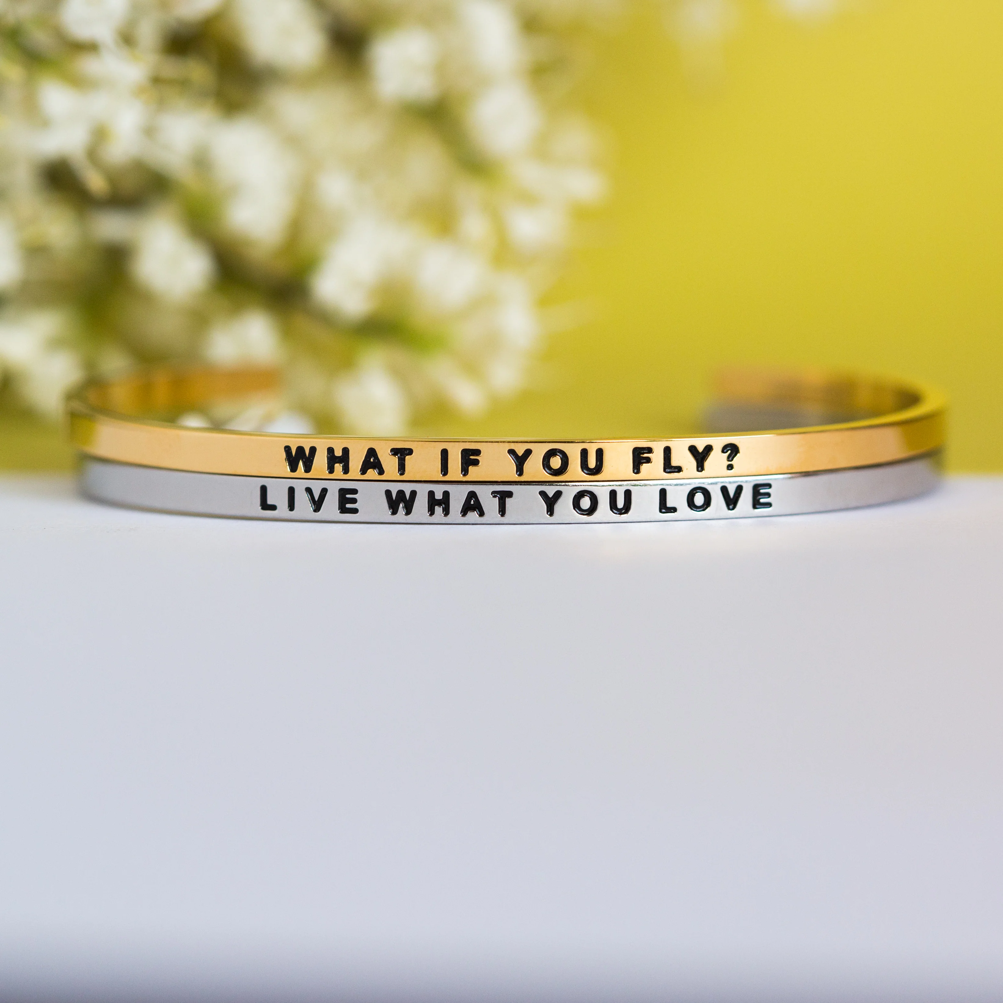 What If You Fly? - Image 3